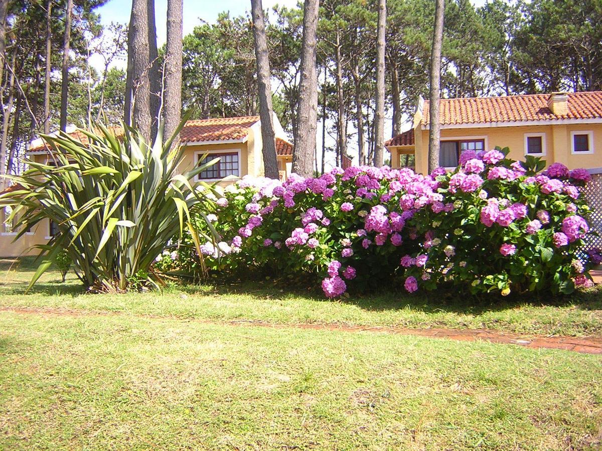 Pino Dorado Aparthotel Manantiales Luaran gambar